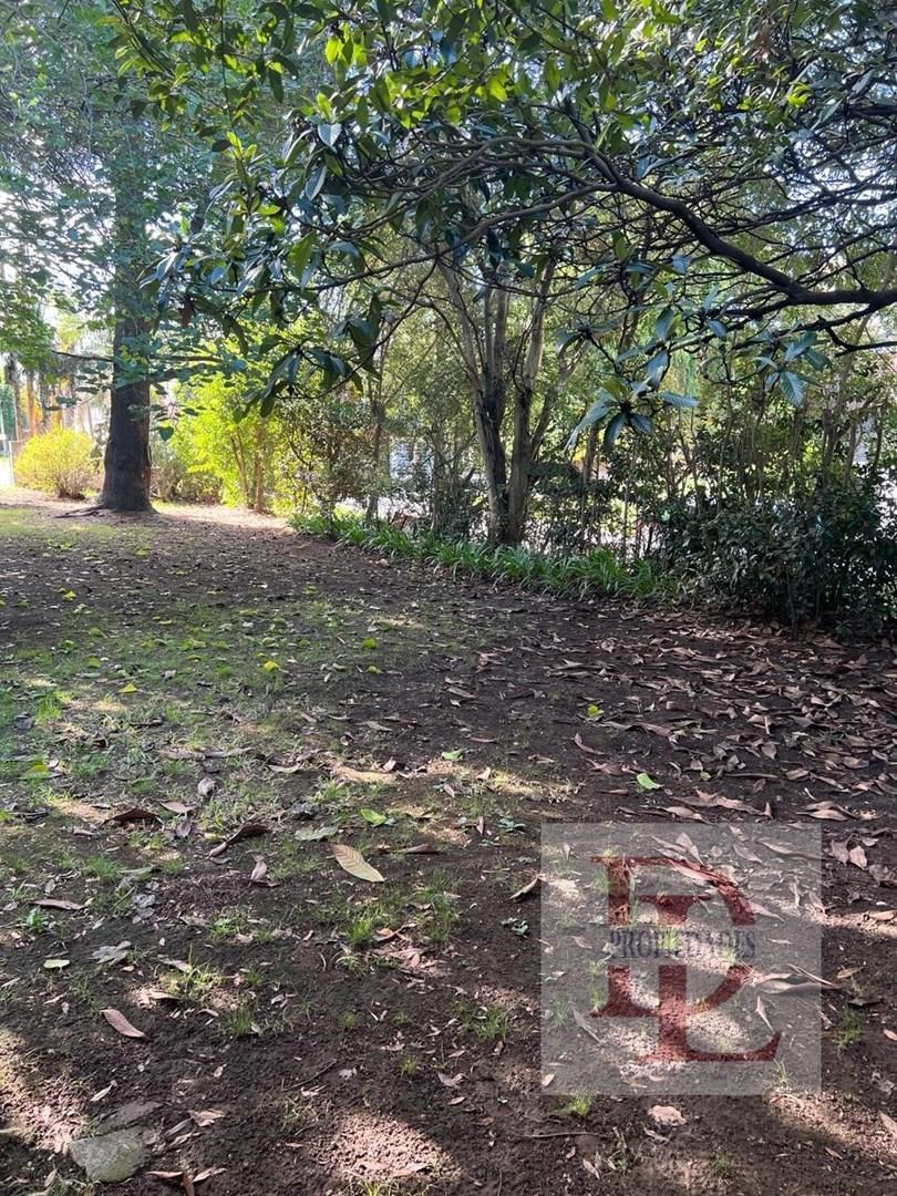 Foto de Terreno Lote en Venta en General Pacheco, Tigre, G.B.A. Zona Norte, imagen 4