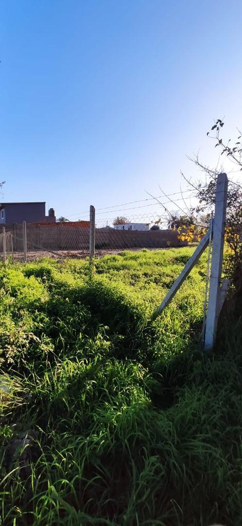Foto de Terreno Lote en Venta en El Talar, Tigre, G.B.A. Zona Norte, imagen 3