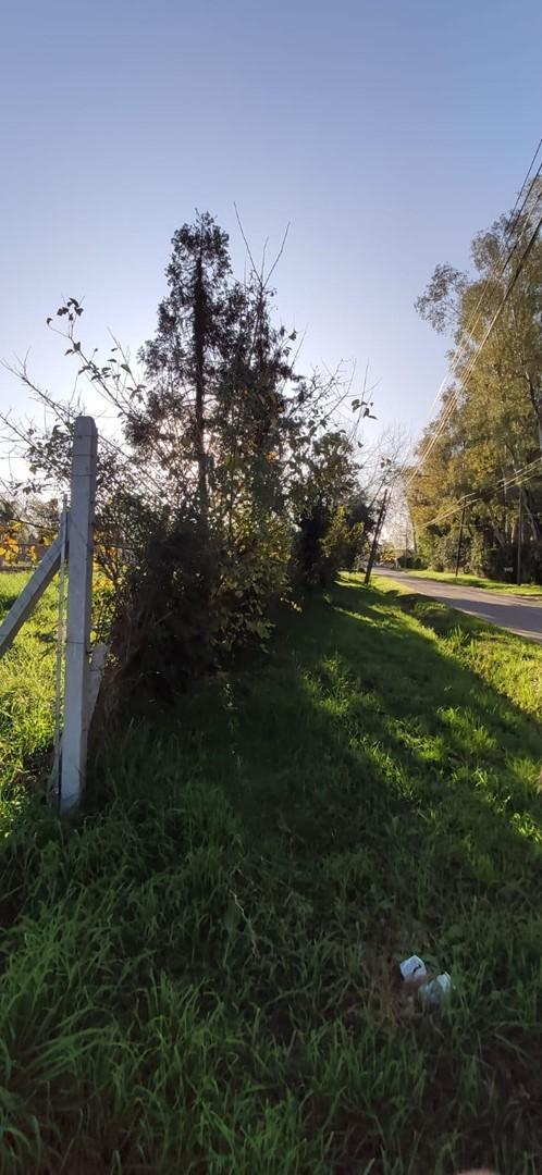 Foto de Terreno Lote en Venta en El Talar, Tigre, G.B.A. Zona Norte, imagen 4