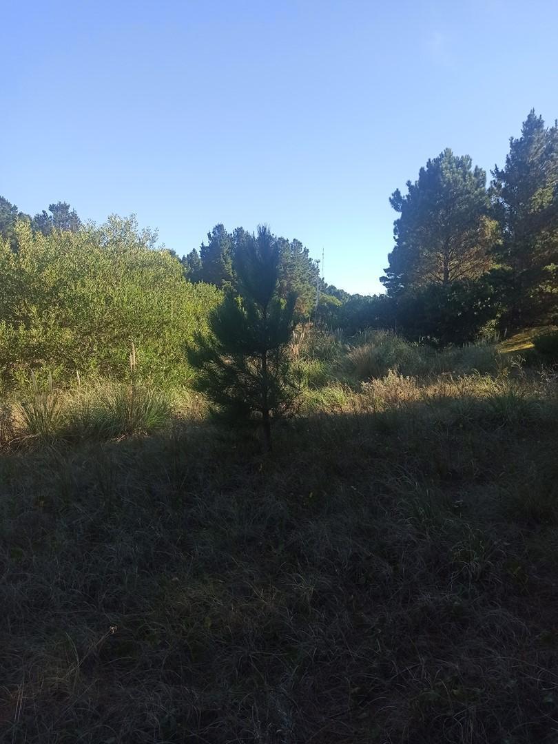 Foto de Terreno Lote en Venta en Ecuestre, Costa Esmeralda, Costa Atlántica, imagen 2