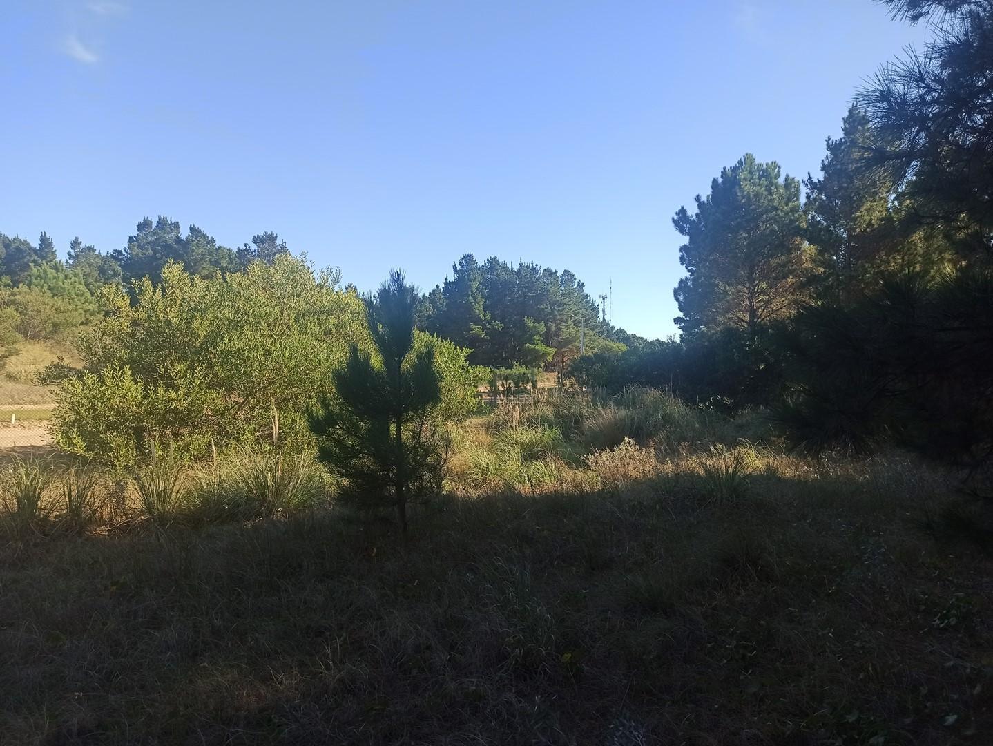 Foto de Terreno Lote en Venta en Ecuestre, Costa Esmeralda, Costa Atlántica, imagen 3