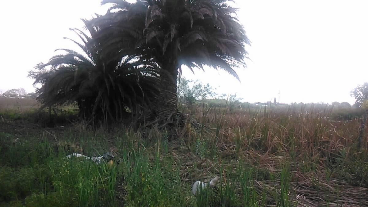 Chascomus: Importante Lote en Zona Urbanizada 3