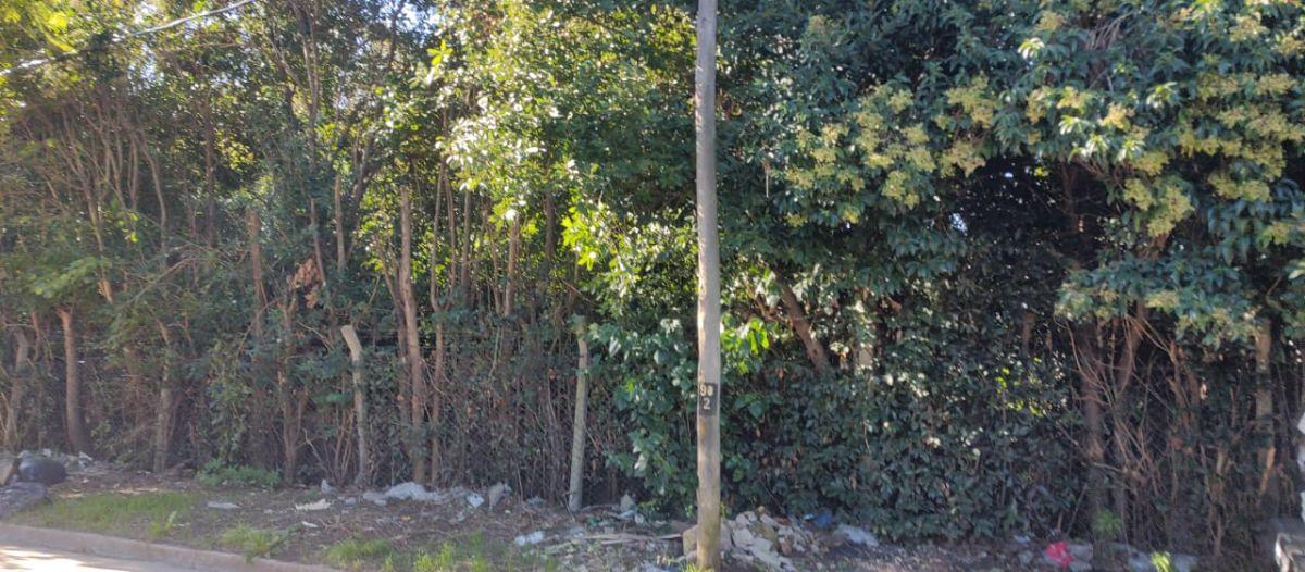 Foto de VENTA DE CASA EN GLEW: 2 VIVIENDAS, EN UN TOTAL DE 1584 M2, IDEAL, imagen 2