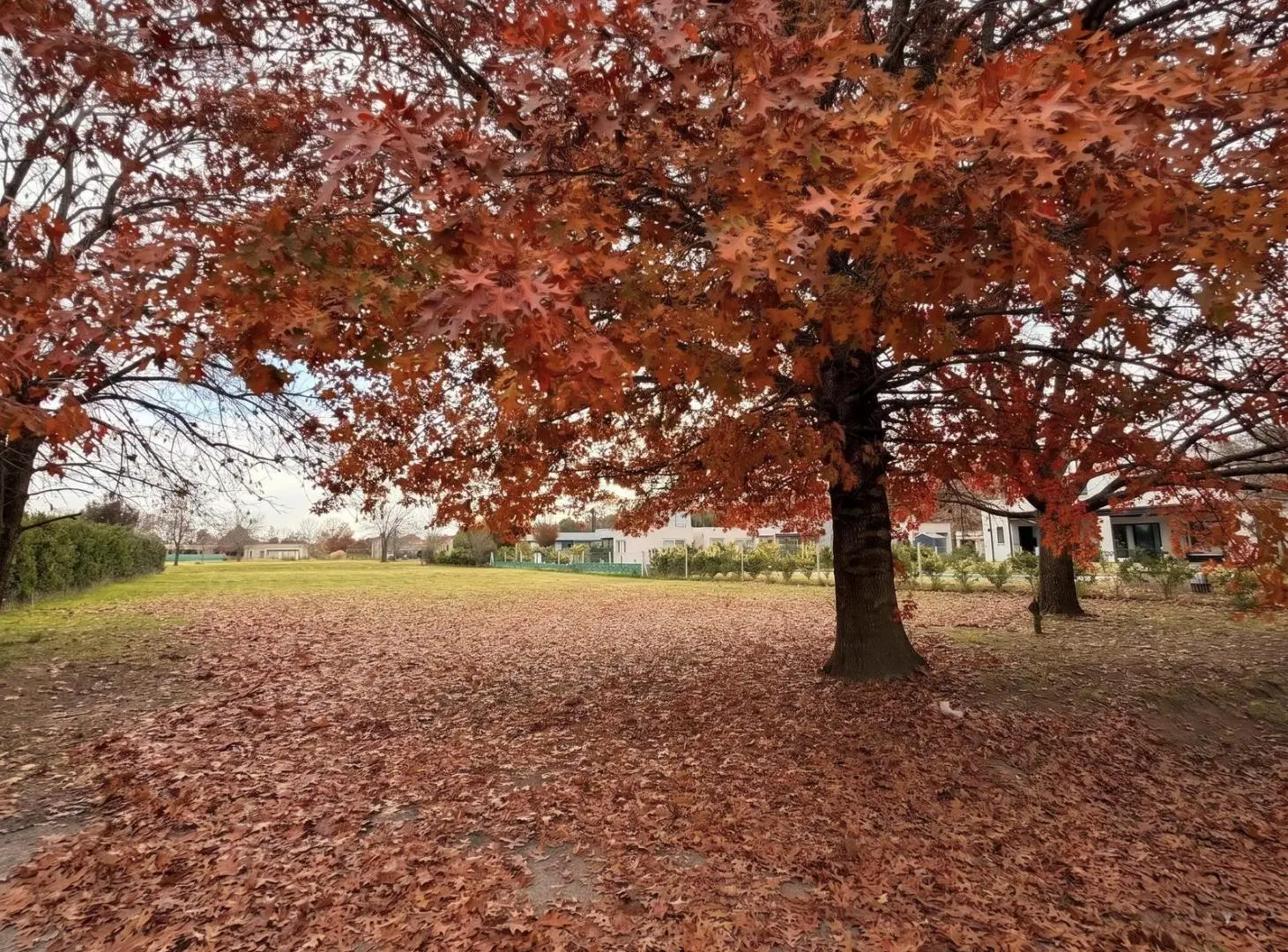 Terreno en Los Alcanfores 4