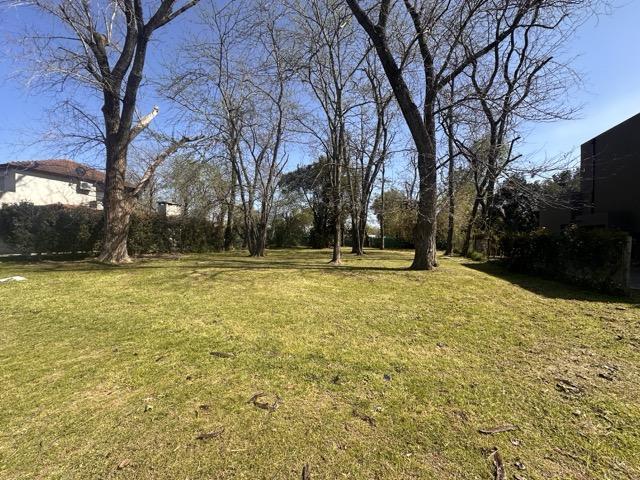 Foto de Terreno - Lote en venta en El Aromo OPORTUNIDAD!!, imagen 1