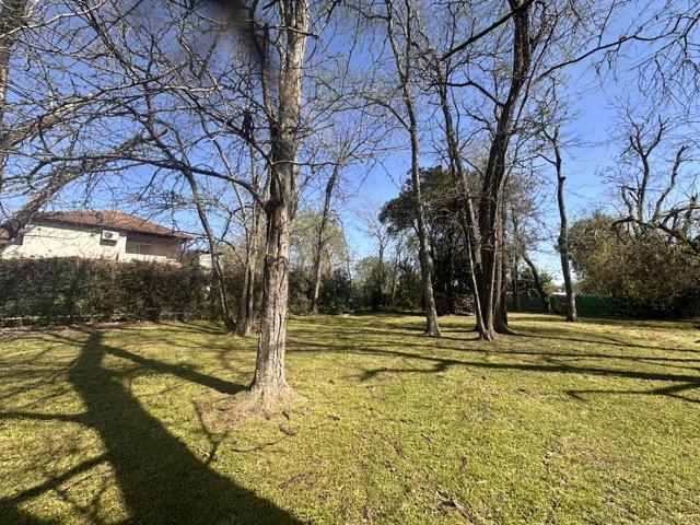 Foto de Terreno - Lote en venta en El Aromo OPORTUNIDAD!!, imagen 4