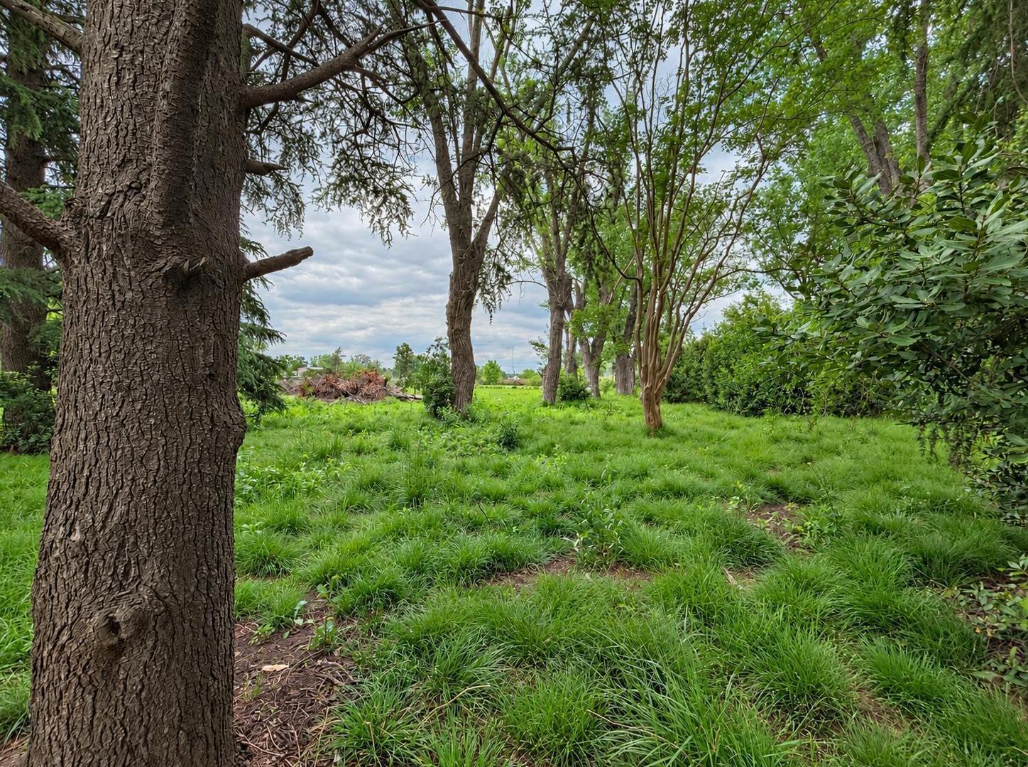 Foto de Terreno en La Lonja - Pilar - Barrio semicerrado, imagen 1