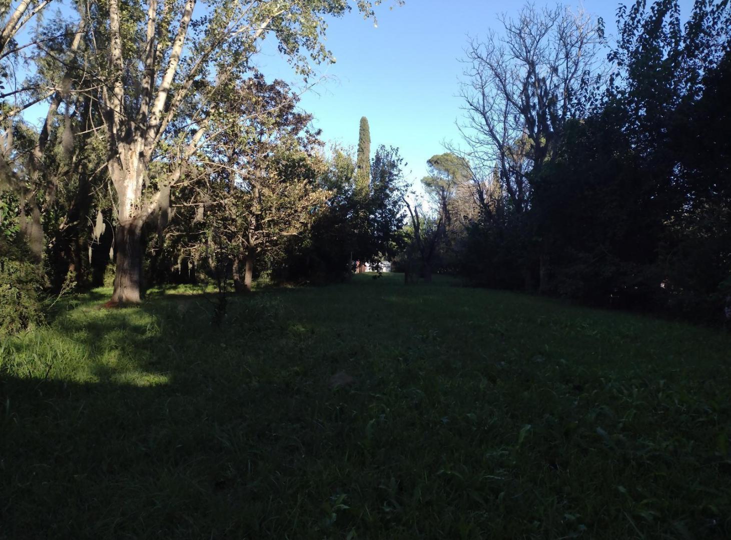 Lote 3000m2 en venta en Zavalla, Santa Fe