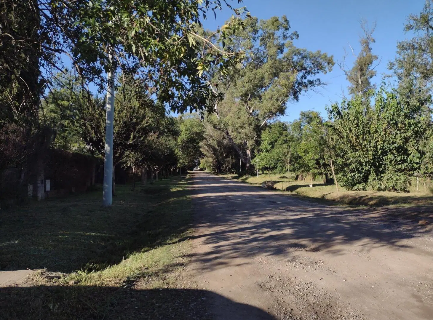 Lote 3000m2  en  venta en Zavalla, Santa Fe 2