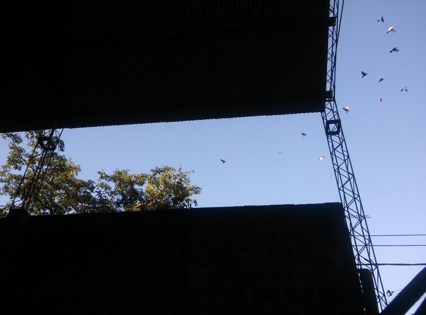 Foto de Galpón en alquiler, imagen 2