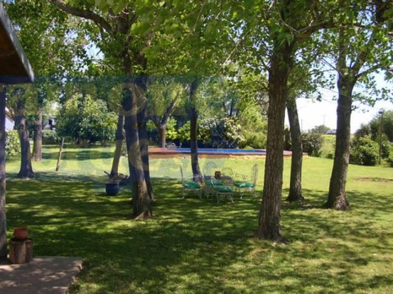 Foto de Lotes en venta en Luis Palacios en excelente entorno con gran arboleda, imagen 2