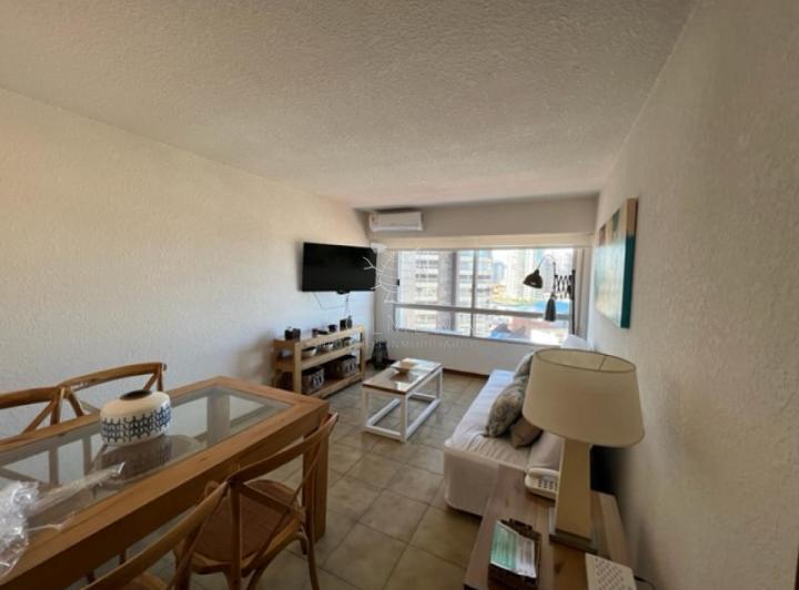 Foto de Apto de 1 dormitorio con vista a playa mansa y Brava, imagen 5
