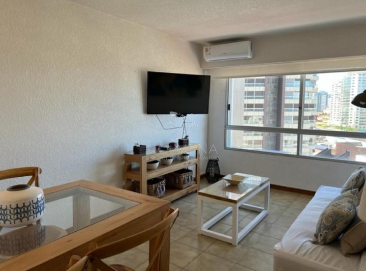 Foto de Apto de 1 dormitorio con vista a playa mansa y Brava, imagen 5