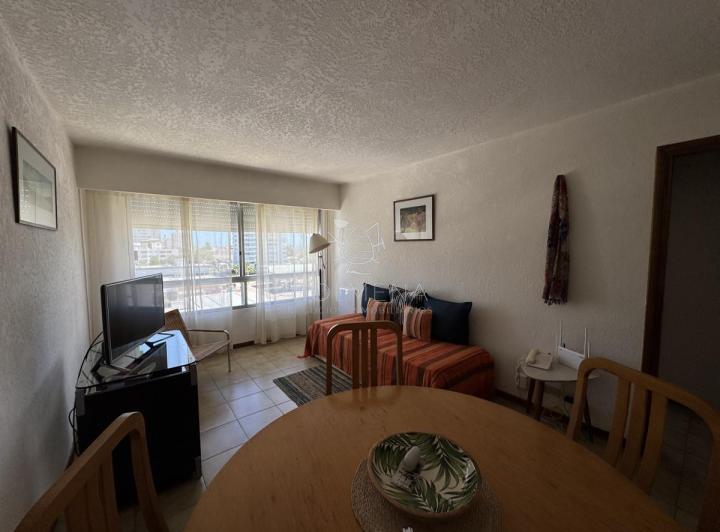 Foto de Apto de 1 dormitorio muy bien ubicado en peninsula con servicio de, imagen 2
