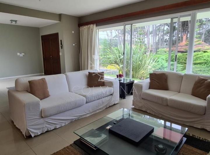 Foto de alquiler de casa en punta del este, imagen 4