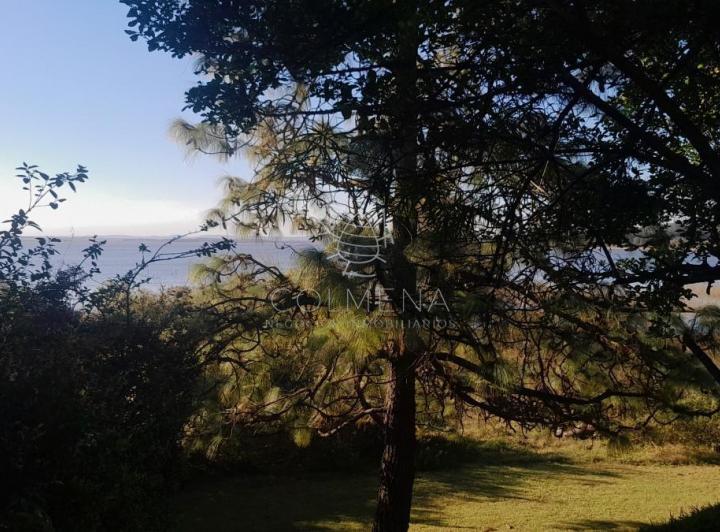 Foto de Directamente sobre la Laguna del sauce, imagen 4