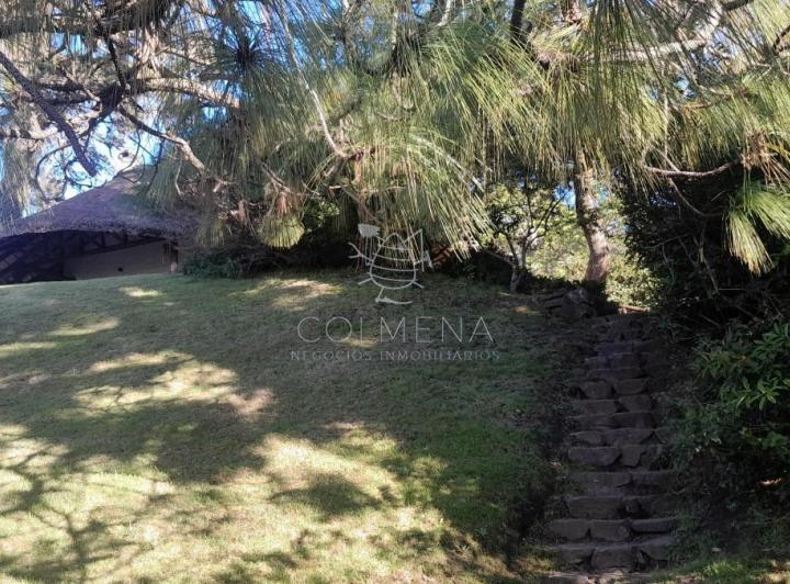 Foto de Directamente sobre la Laguna del sauce, imagen 3