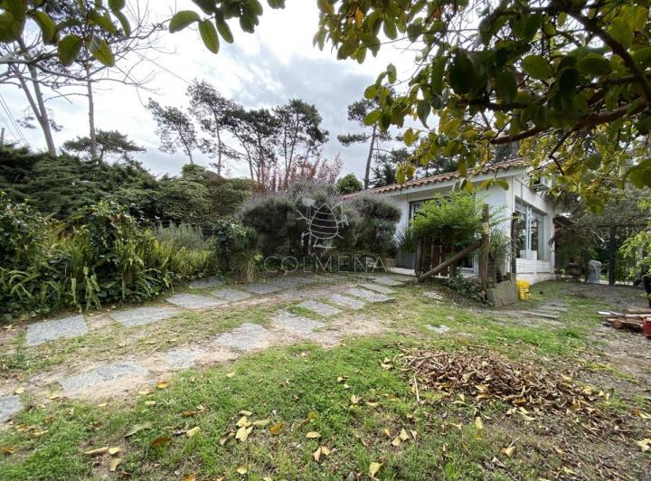Foto de Casa de 3 dormitorios y agradable jardín en Punta del Este, imagen 1