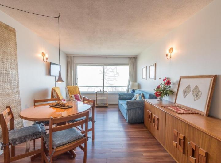 Foto de Venta apartamento en Peninsula, 1 dormitorio y medio, imagen 4