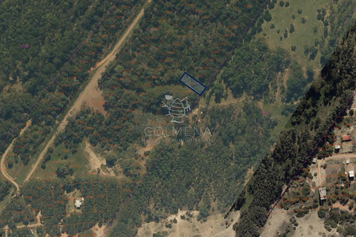 Foto de Terreno 627 m2 en Sauce de Portezuelo, imagen 5
