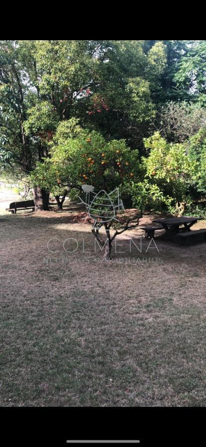 Foto de Casa en Punta Ballena, Laguna del Sauce, imagen 5