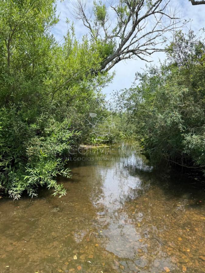 Foto de Campo con costa de arroyo., imagen 2