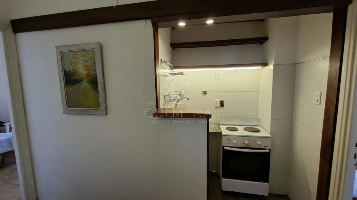 APARTAMENTO EN VENTA 1 DORMITORIO PENINSULA 3