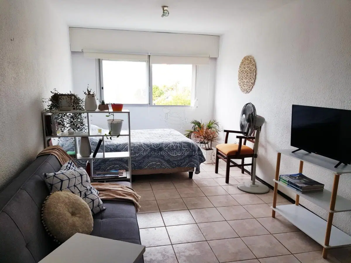 Venta monoambiente, Aidy Grill, Punta del Este 4