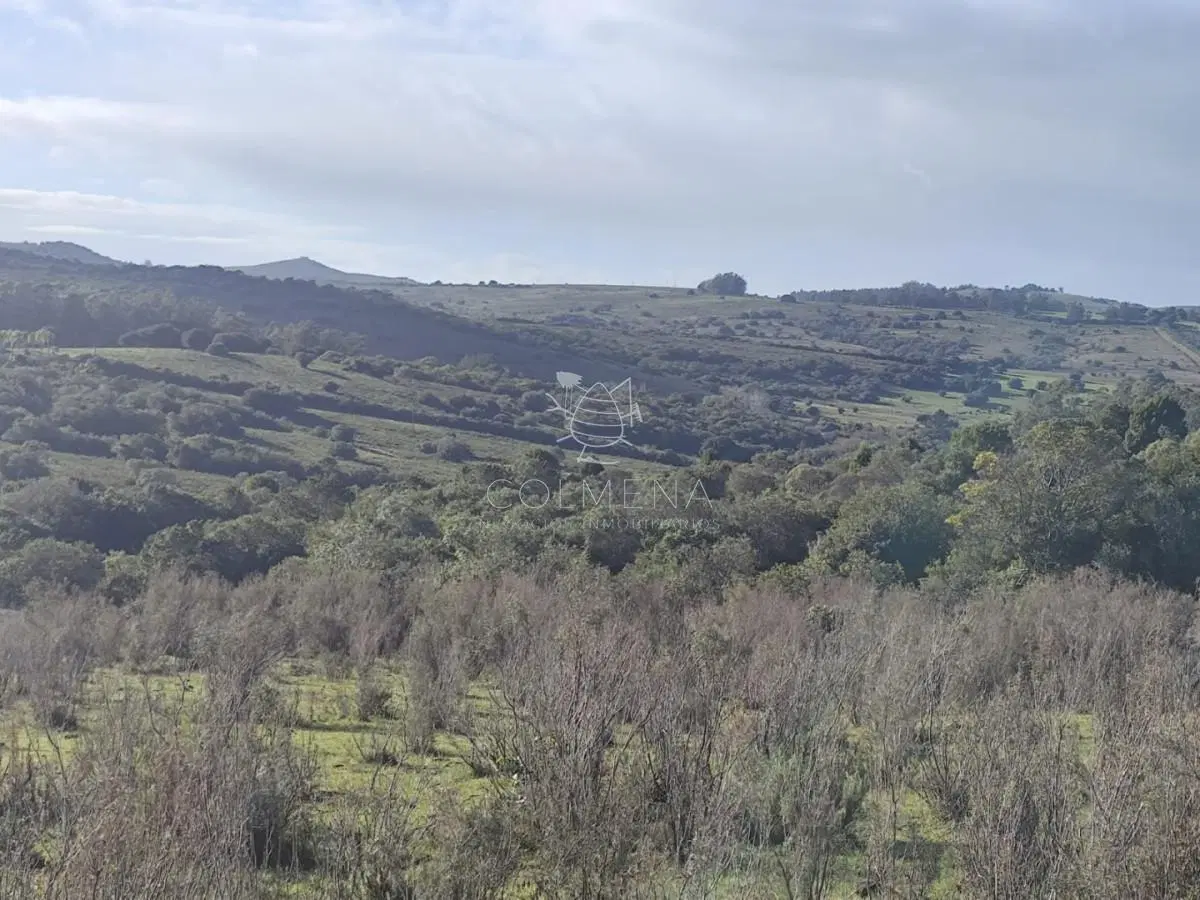 Campo en Paraje - Pueblo Eden 3