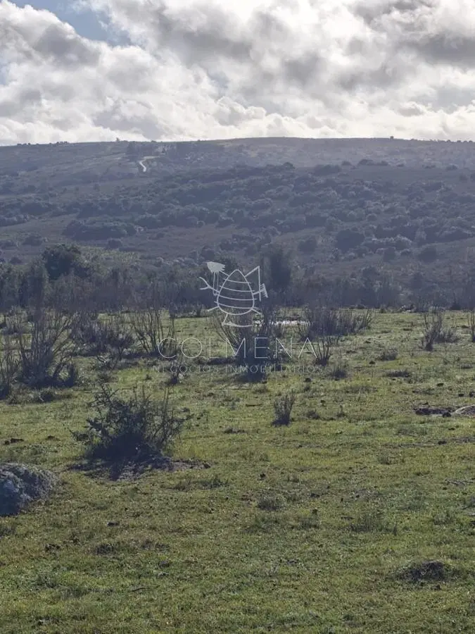 Campo en Paraje - Pueblo Eden 2