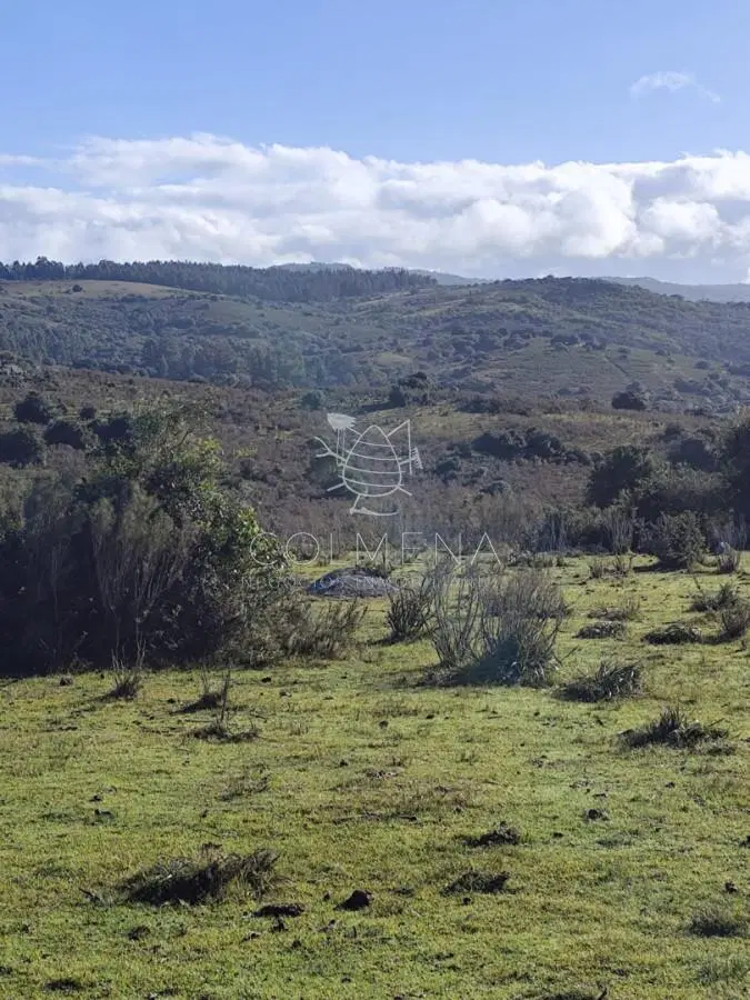 Campo en Paraje - Pueblo Eden 5