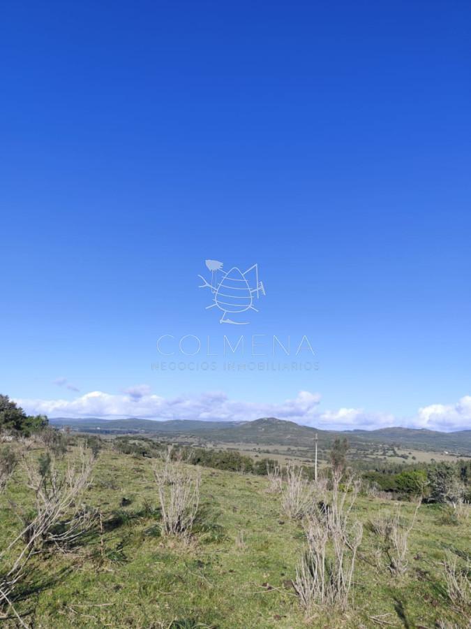 Foto de Campo ondulado con arroyo, cañada, manantiales y Montes Nativo en, imagen 1