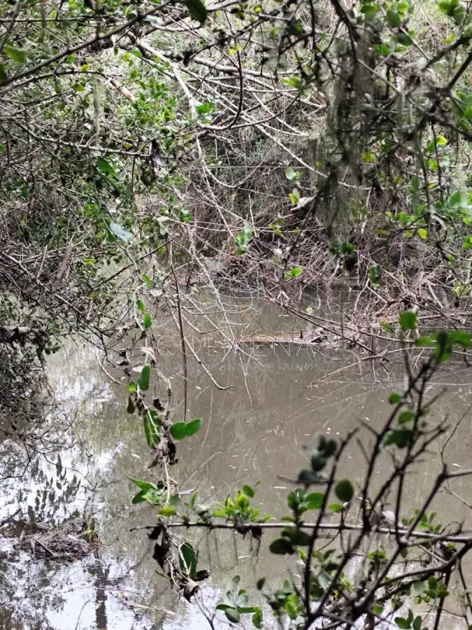 Se venden 4 Chacras de 3 has y media cada una en el paraje Corte la Leña. 3