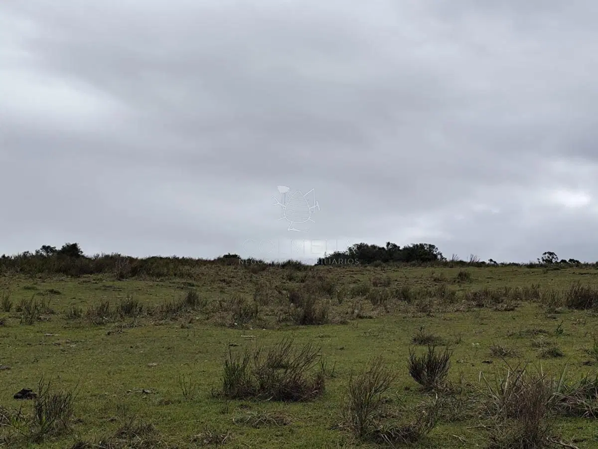 Se venden 4 Chacras de 3 has y media cada una en el paraje Corte la Leña. 5
