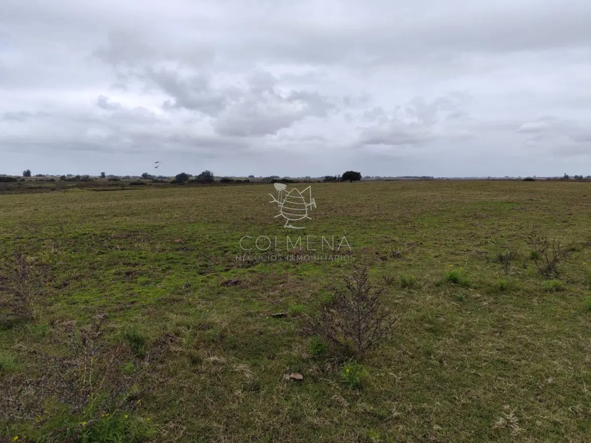 Se venden 4 Chacras de 3 has y media cada una en el paraje Corte la Leña. 1