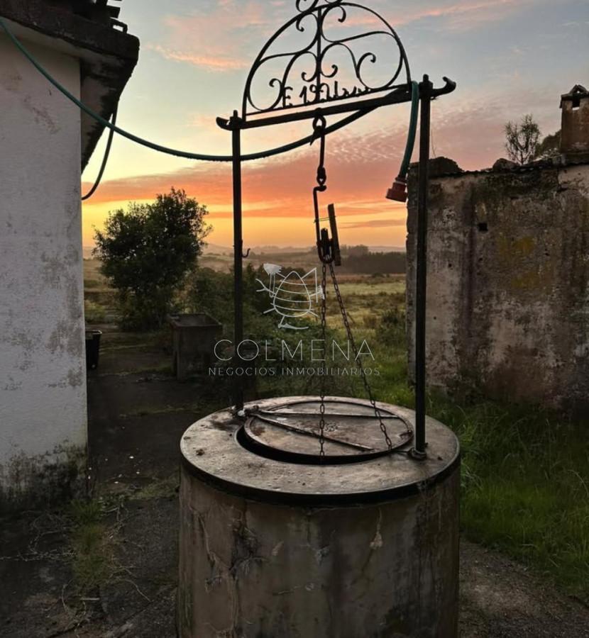 Foto de Campo en Garzón, imagen 2