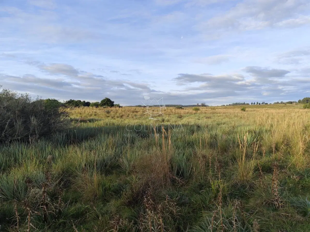 Campo de 22 has 3402 en Garzón 4