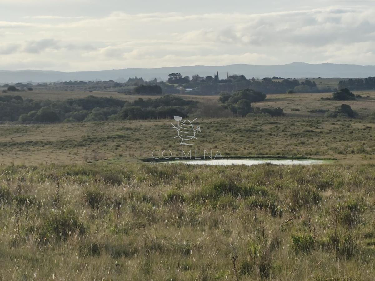 Foto de Campo de 22 has 3402 en Garzón, imagen 3