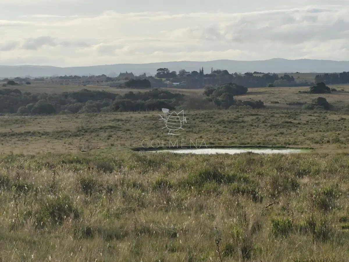 Campo de 22 has 3402 en Garzón 3