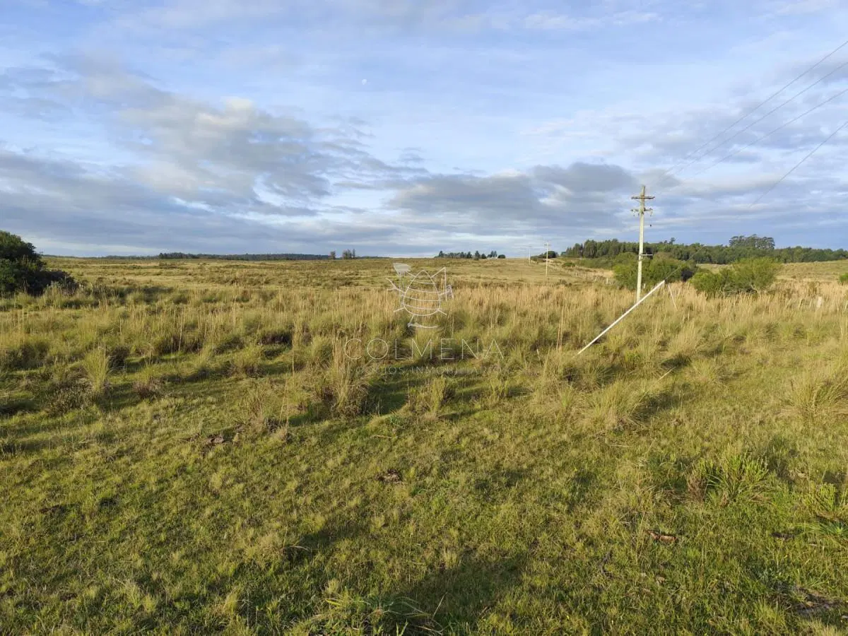 Campo de 22 has 3402 en Garzón 5