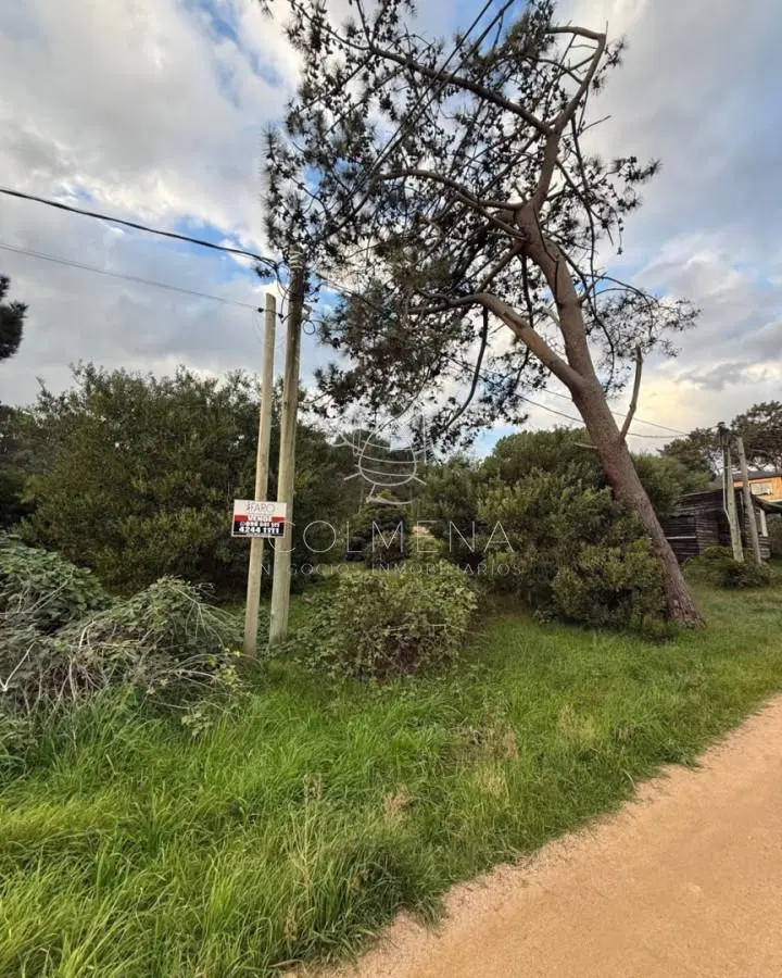 Terreno 404 m2 en Manantiales: Potencial y Ubicación Privilegiada 5