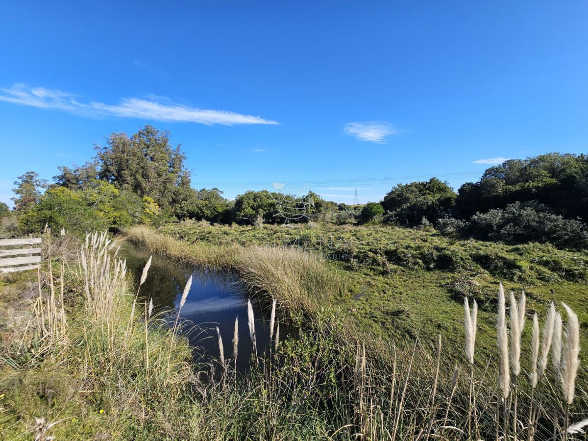 Foto de CHACRA EN VENTA SOBRE RUTA 39, imagen 5