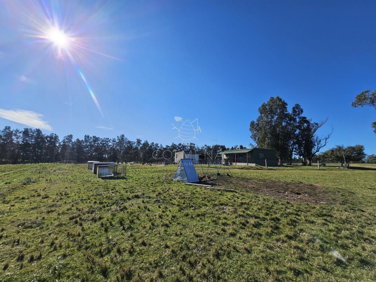 Foto de CHACRA EN VENTA SOBRE RUTA 39, imagen 1