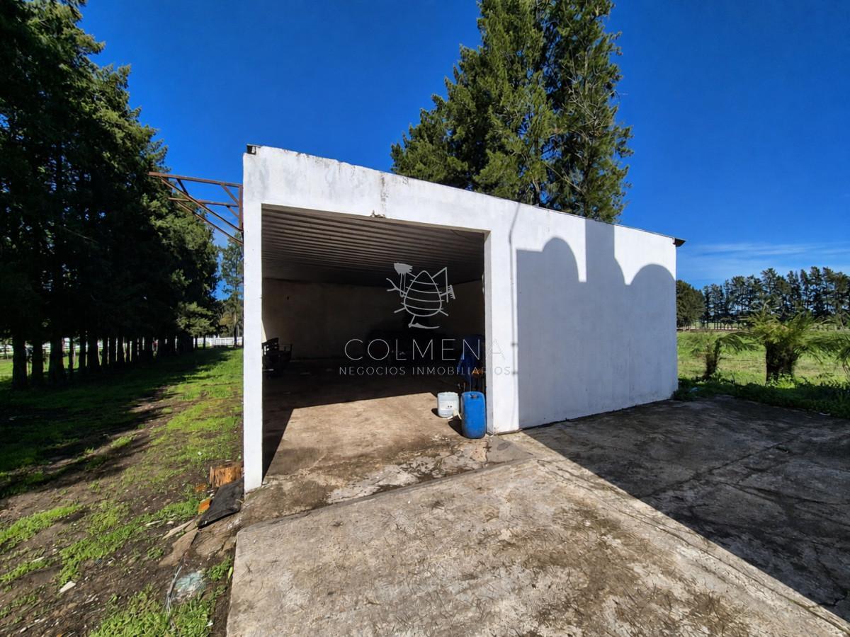 Foto de Venta Campo 19 Ha sobre Ruta 39 San Carlos Maldonado, imagen 4
