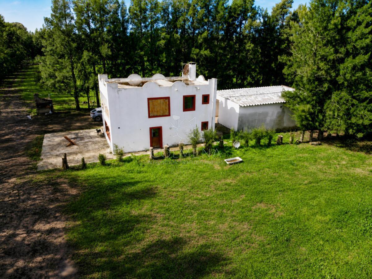 Foto de Venta Campo 19 Ha sobre Ruta 39 San Carlos Maldonado, imagen 1