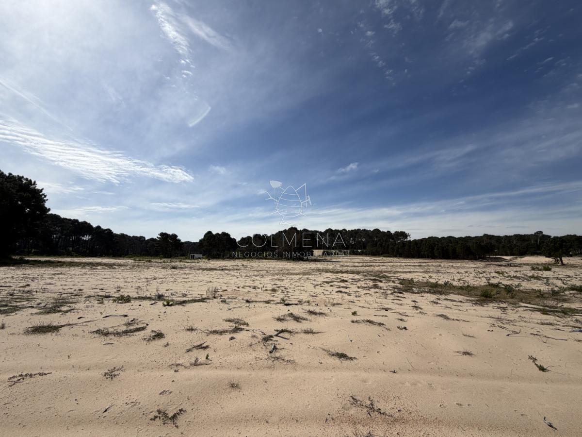 Foto de Terreno de 1000 m² en La Serena - Punta Ballena, imagen 3