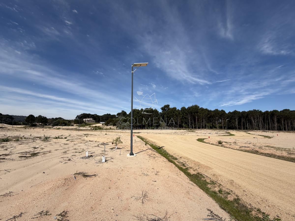 Foto de Terreno de 1000 m² en La Serena - Punta Ballena, imagen 1