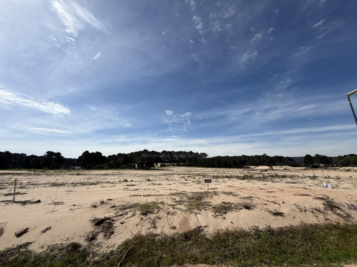 Foto de Terreno de 1000 m² en La Serena - Punta Ballena, imagen 2