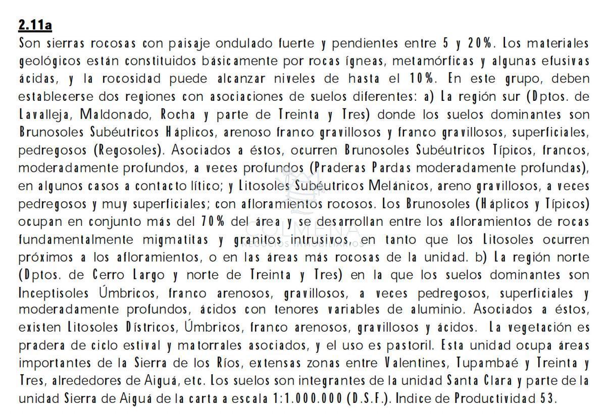Foto de Campo de 553 has en Lascano - Rocha, imagen 3
