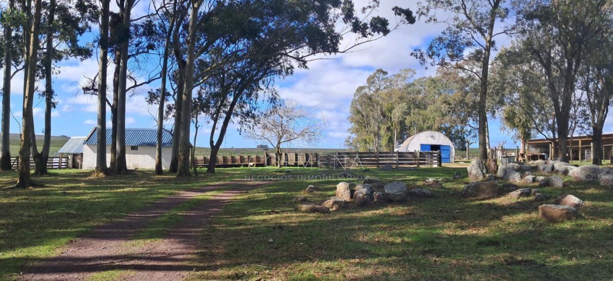 Foto de Campo de 553 has en Lascano - Rocha, imagen 1